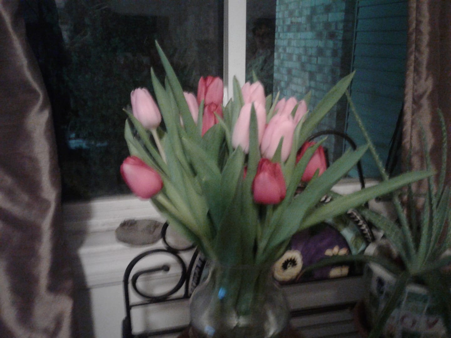 Customer photo review of Plant Care Kit