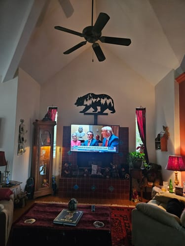 Customer photo review of Bear - Metal Wall Art