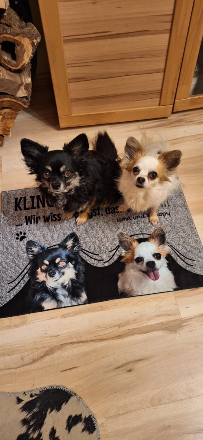 Customer photo review of Klingeln nicht nötig - Individuelle Fußmatte