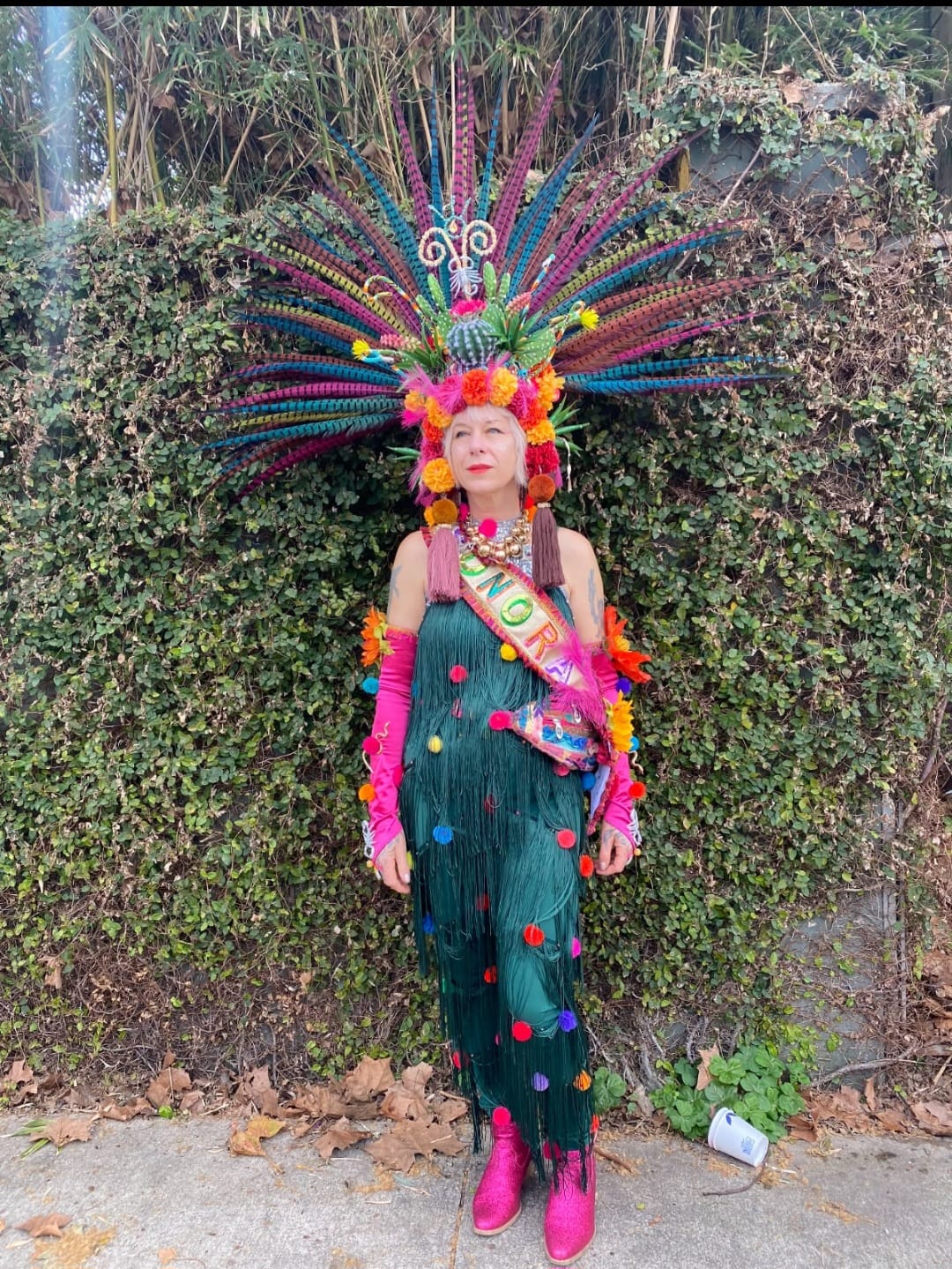 Customer photo review of Pheasant Venery Reeves Feathers