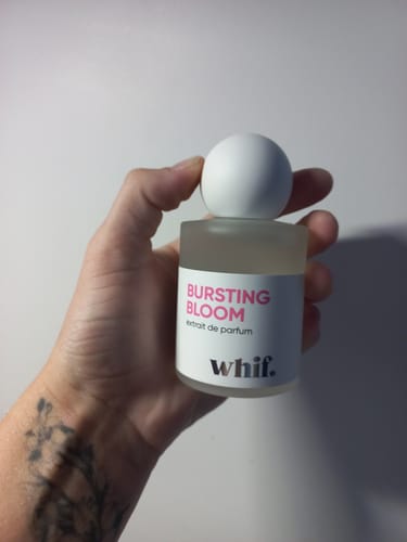 Customer photo review of Bursting Bloom