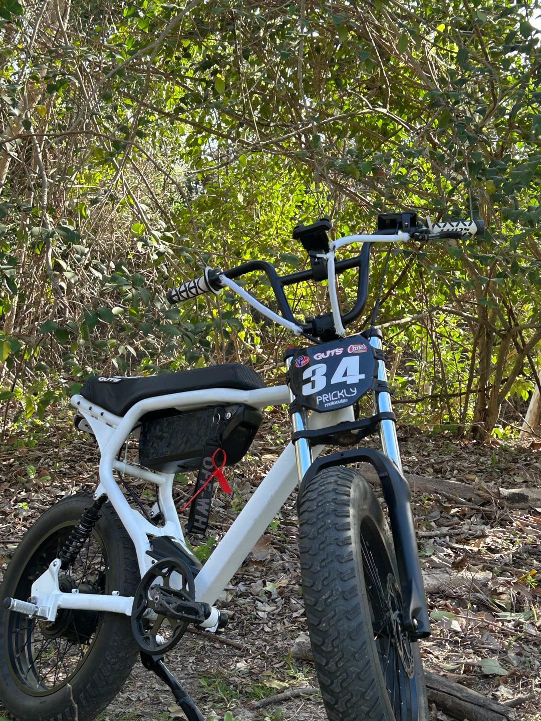 Customer photo review of Macfox X2 Electric Mountain Bike