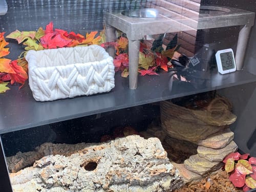 Customer photo review of XT6 BIO (72Lx24Dx36H) - STACKABLE