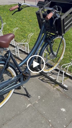 Customer video review of E-Cargo N3