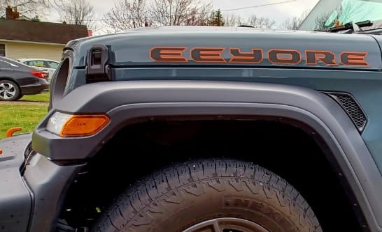 Customer photo review of Premium Hood Lettering | Set of 2