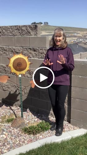 Customer video review of Mystery Bag Womens Sizes - Women Sizes