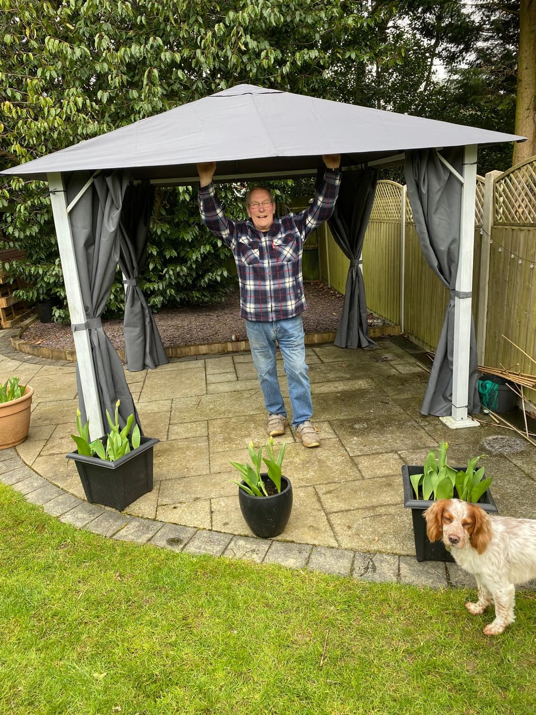 Customer photo review of Highfield Gazebo Canopy