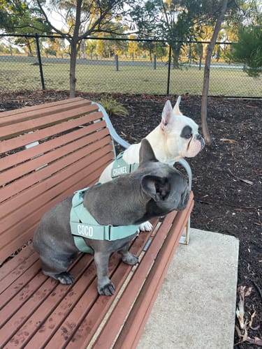 undefined review of Signature Kit - Khaki image 1 out of 3