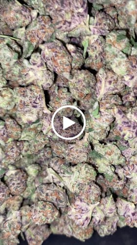 Customer video review of Ice Cream Cake - Indoor THCA (Smalls)