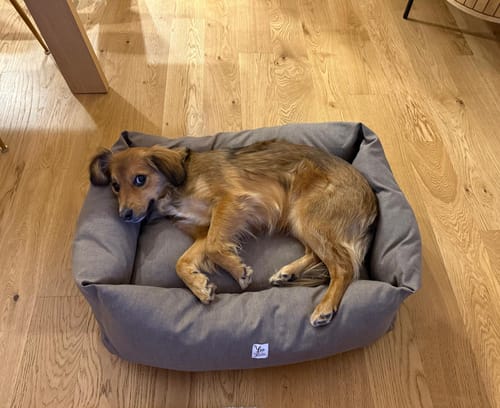 Customer photo review of Divanetto Mattias Marrone (Soft Touch)