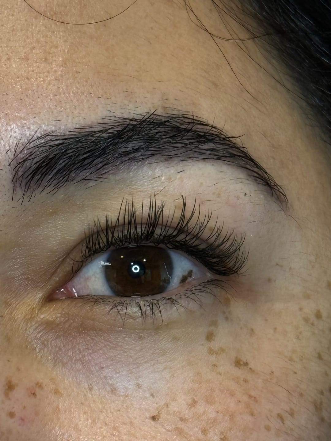 Customer photo review of Ellipse Flat Lashes 0.20