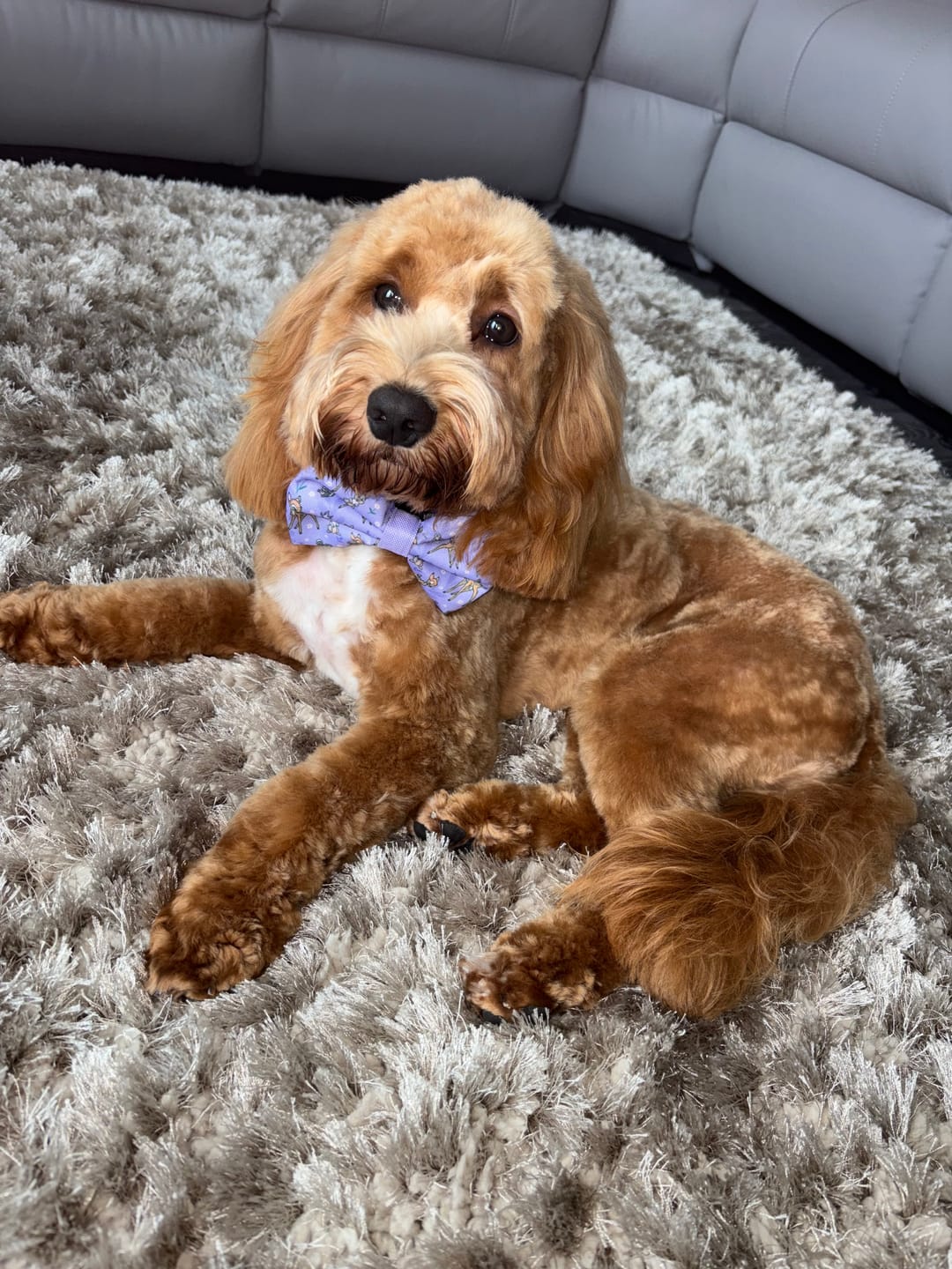 Customer photo review of Disney© Tough Trails™ Harness - Bambi + Friends Lilac