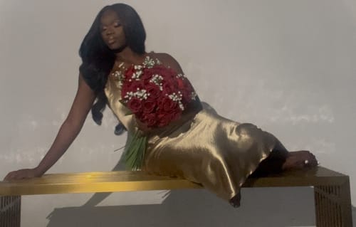 Customer photo review of Champagne Dress