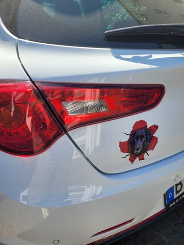 Moni D. review of Spähendes Foto - Individueller Autoaufkleber image 1 out of 1