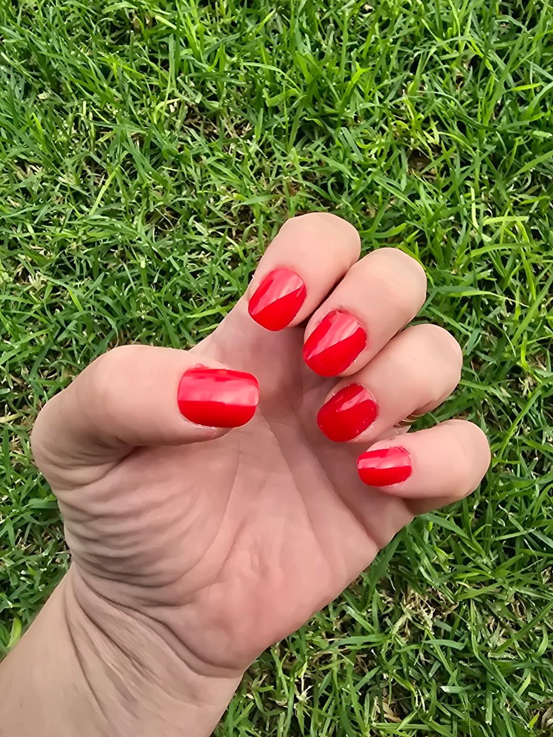 Customer photo review of Poppy