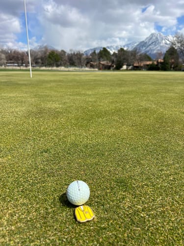 Customer photo review of Yellow Jacket Ball Marker (Limited Edition)
