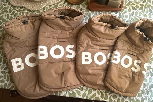 Customer photo review of BOSS Dog Padded Jacket