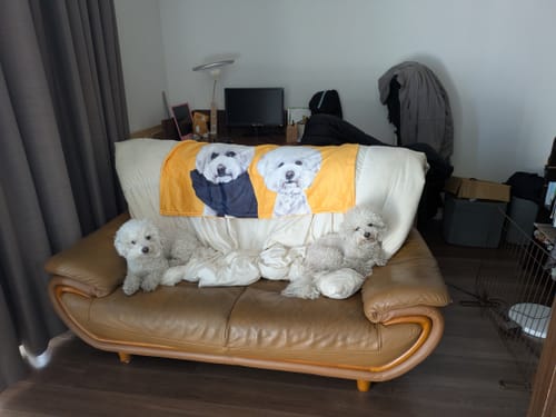 Customer photo review of Petcanva©オーダーメイド ペット似顔絵