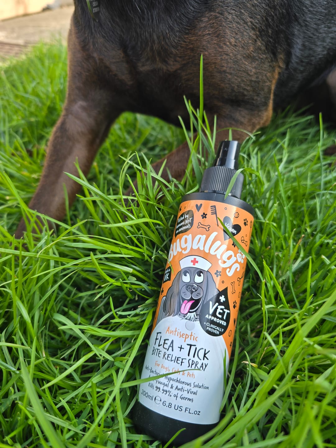 Customer photo review of Antiseptic Flea & Tick Bite Relief Spray for Dogs, Cats & Pets