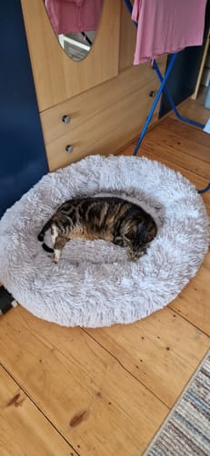 Customer photo review of Puppery Hundebett Wolke 7 - Das Original