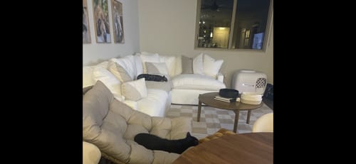 Customer photo review of Self-Cleaning Litter Box