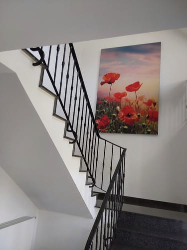 Customer photo review of Canvalight® Leuchtbild | Mohnblumenfeld bei Sonnenuntergang | Hochformat
