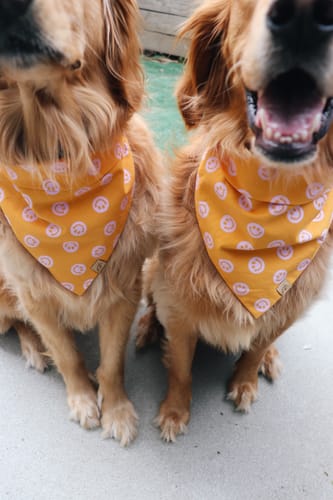 Customer photo review of Custom Embroidered Bandana