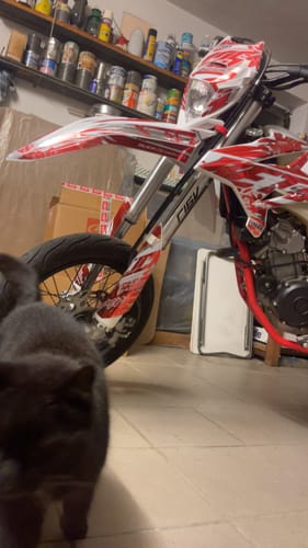 Customer photo review of FLOWER - GRAPHICS KIT