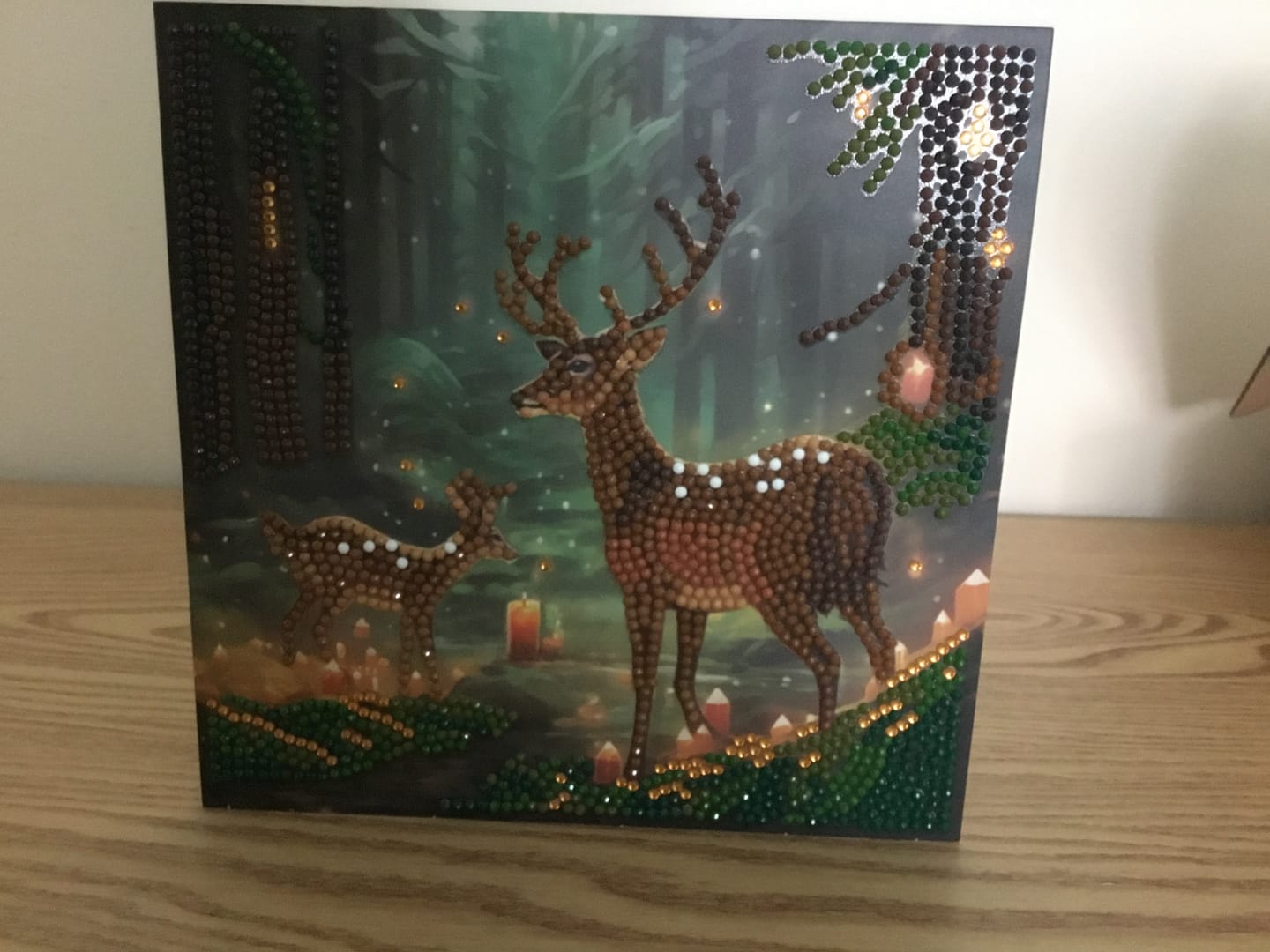 Customer photo review of "Enchanted Forest" Crystal Art Card 18x18cm