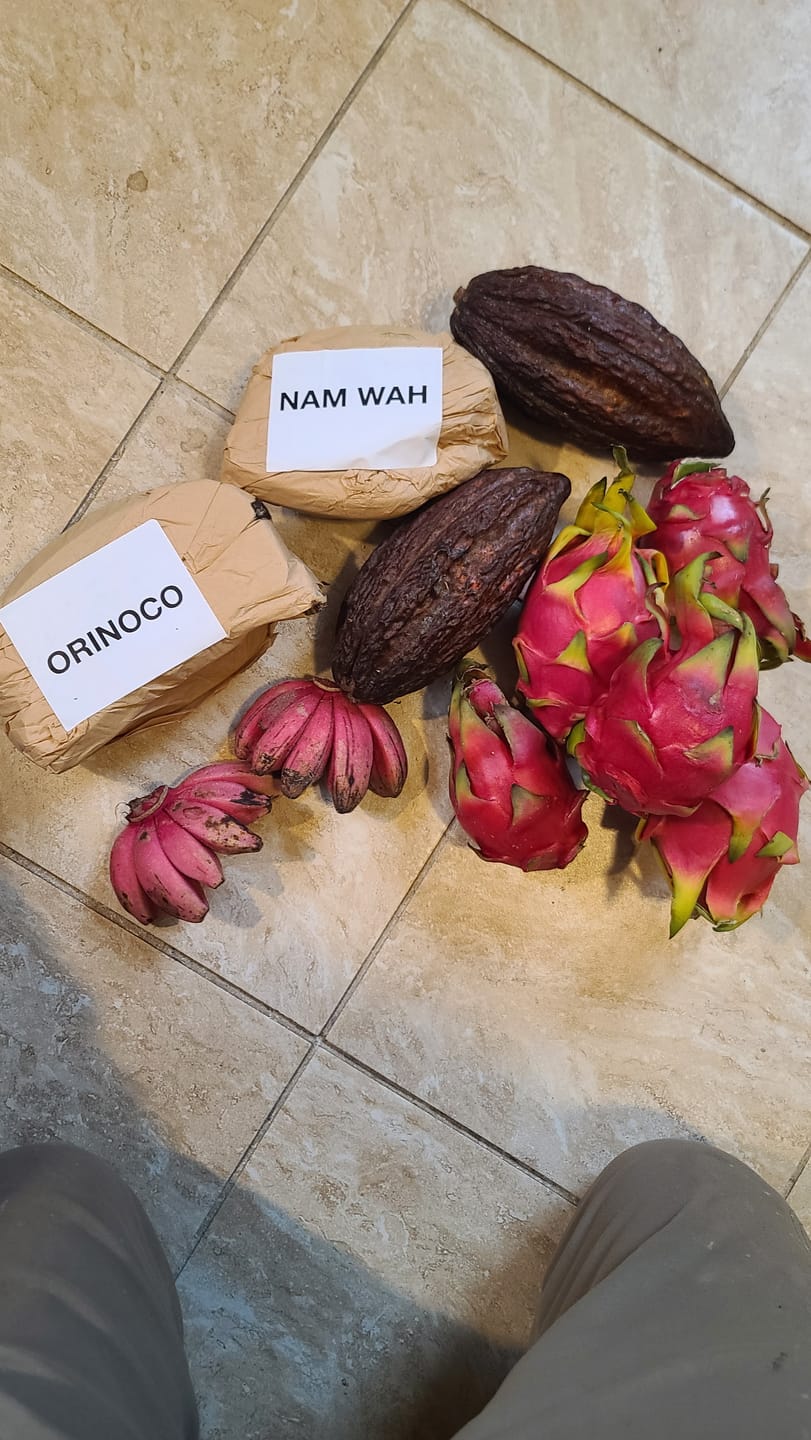 Customer photo review of Build Your Own Tropical Fruit Box