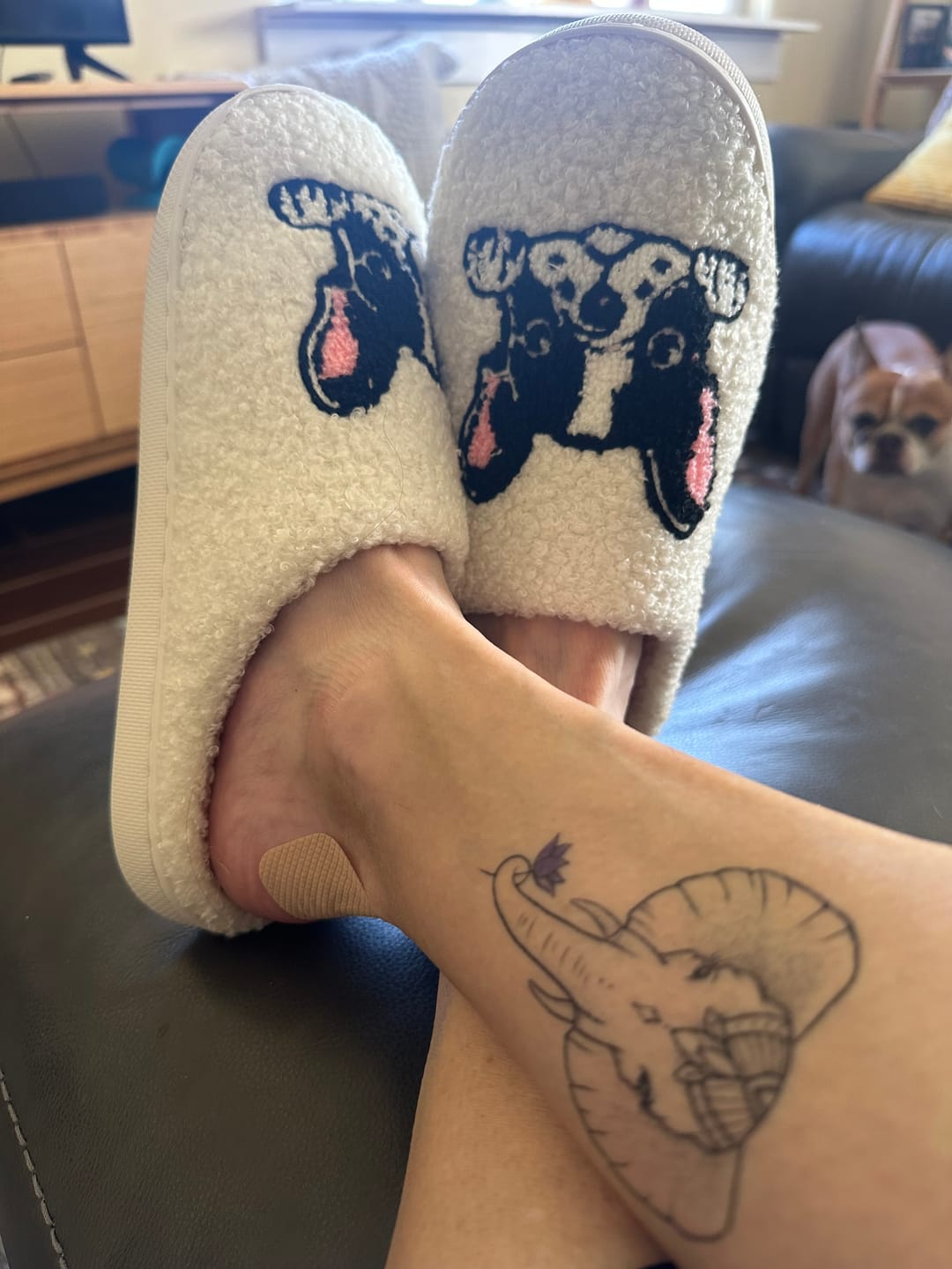 Customer photo review of Boston Terrier Slippers