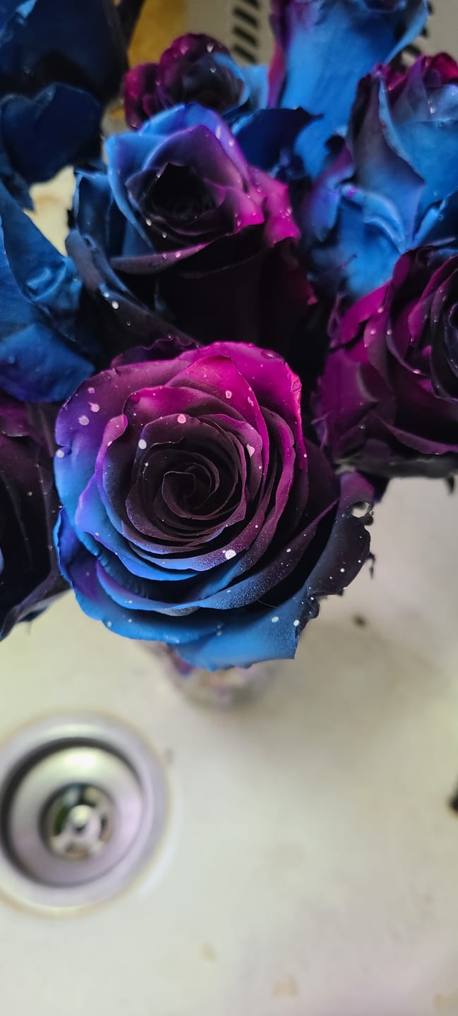 Customer photo review of Starry Galaxy Roses