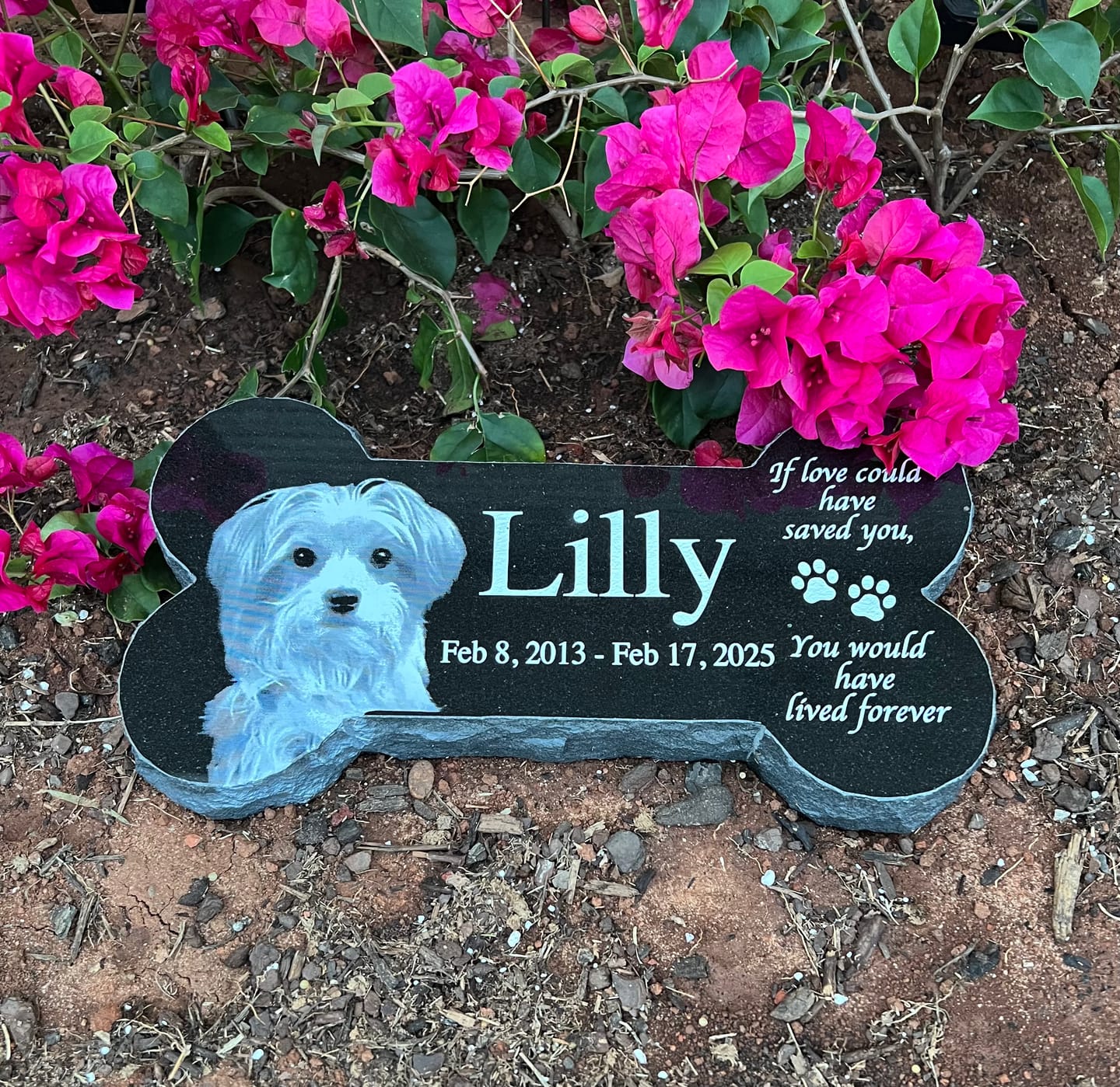 Customer photo review of Bone Shape Outdoor Pet Grave Marker Personalized Memorial Plaque Granite