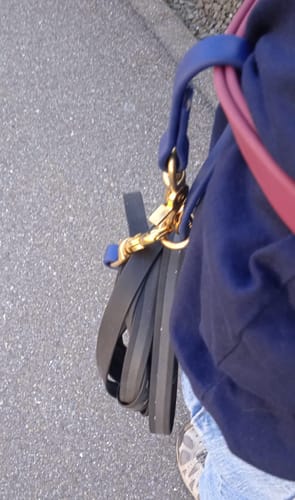 Customer photo review of Longline Handle