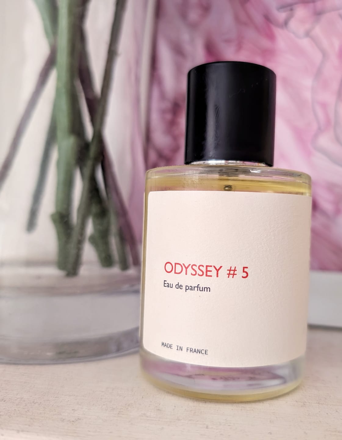 Customer photo review of Odyssey #5