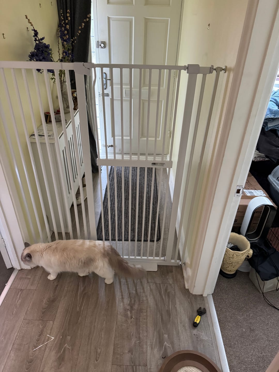 Customer photo review of FairyBaby 55"/61" Extra Tall Cat Gate with Narrow Bar Spacing