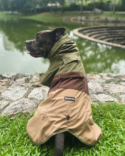 Customer photo review of Breatheshield™ Dog Raincoat - Green Brown Tan