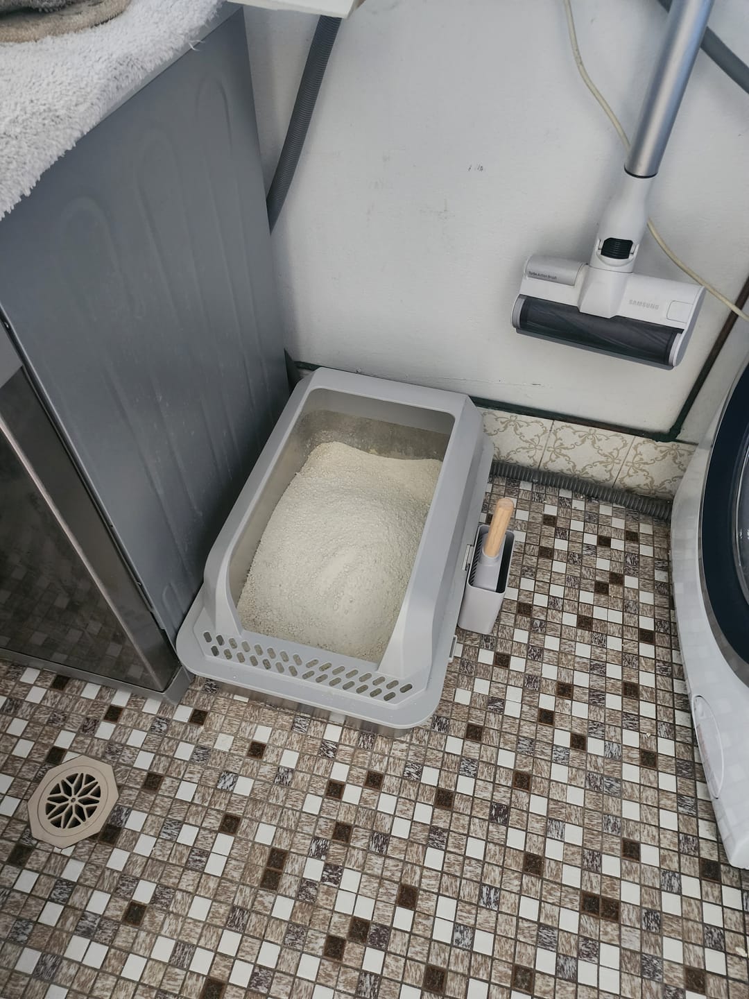 Customer photo review of Michu Wonder Litter - Plant-Based & Automatic-Box Friendly 2.5kg/6L
