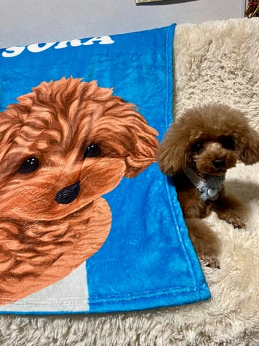 Customer photo review of うちの子ブランケット