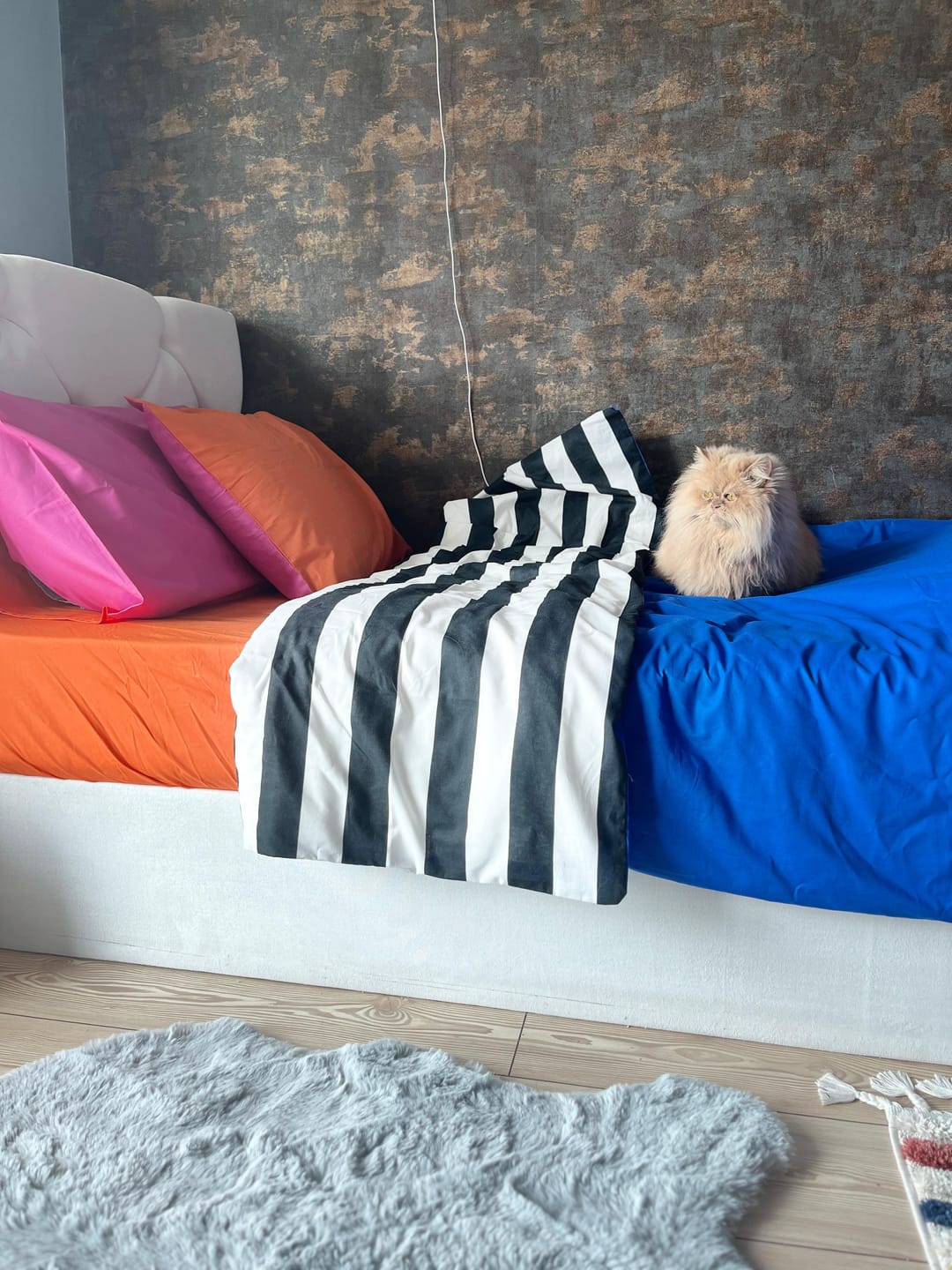 Customer photo review of Cozy Home Popping Colors Tek Kişilik Lastikli Çarşaflı Nevresim Takımı Dusk Mavi