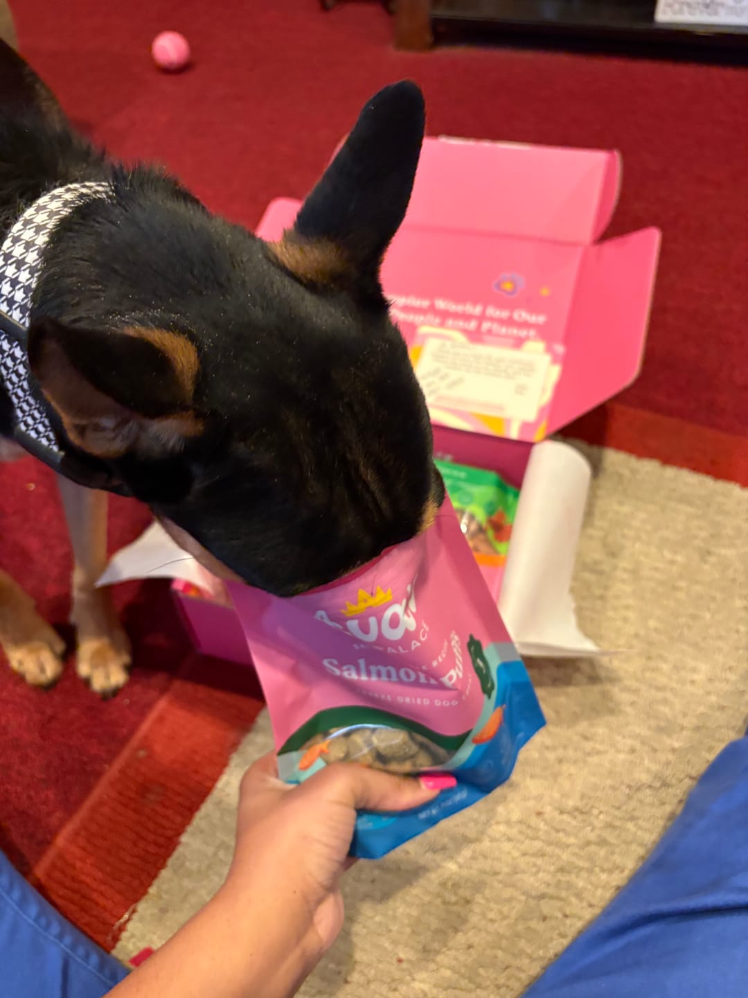 Customer photo review of Freeze Dried Dog Treats - Salmon Puffs