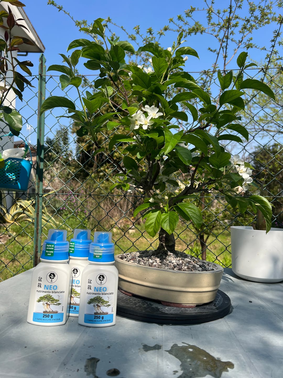 Customer photo review of NEO CB®