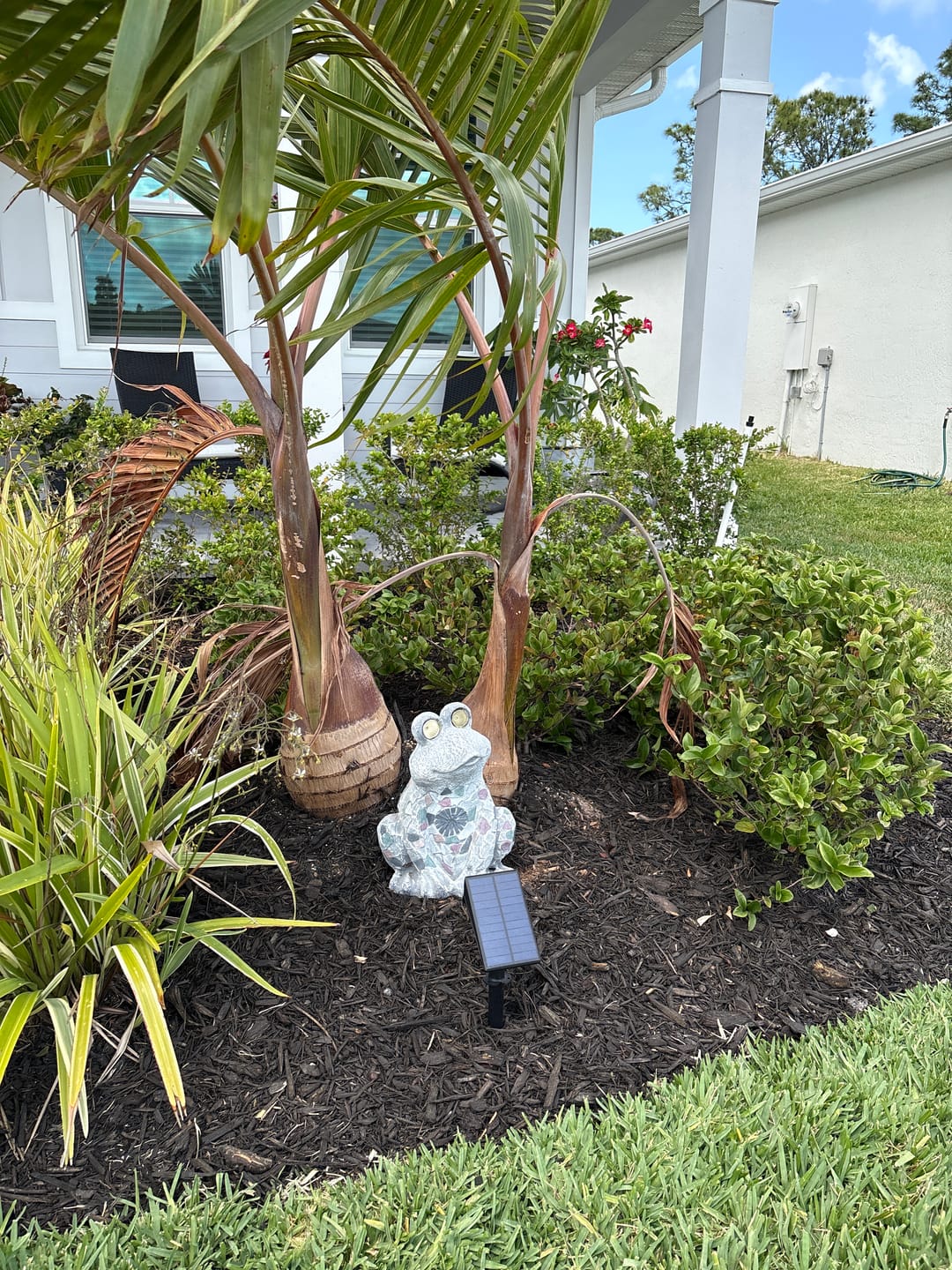 Customer photo review of Solar Spot lights For Garden Cool White Waterproof Landscape Lighting