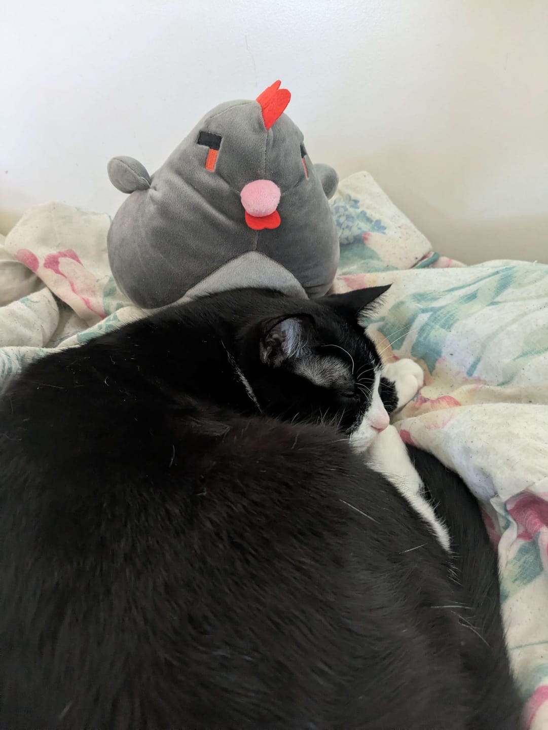 Customer photo review of Stardew Valley - Void Chicken Pillow Plush