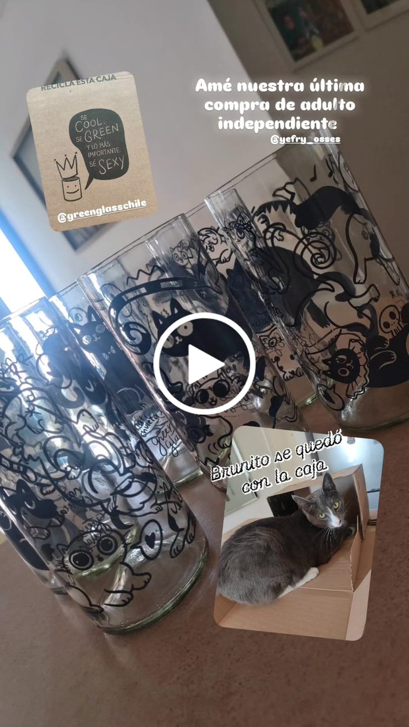 Customer video review of Miau Glass - Juego de 6 Vasos - 500 ml
