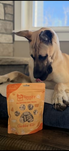 Customer photo review of All Natural Baked Biscuits - 24 OZ