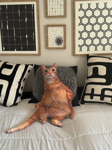 Customer photo review of Custom Pet Pillow