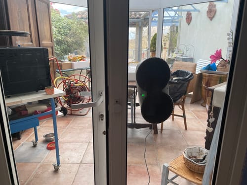 Customer photo review of Gazzal Teddy