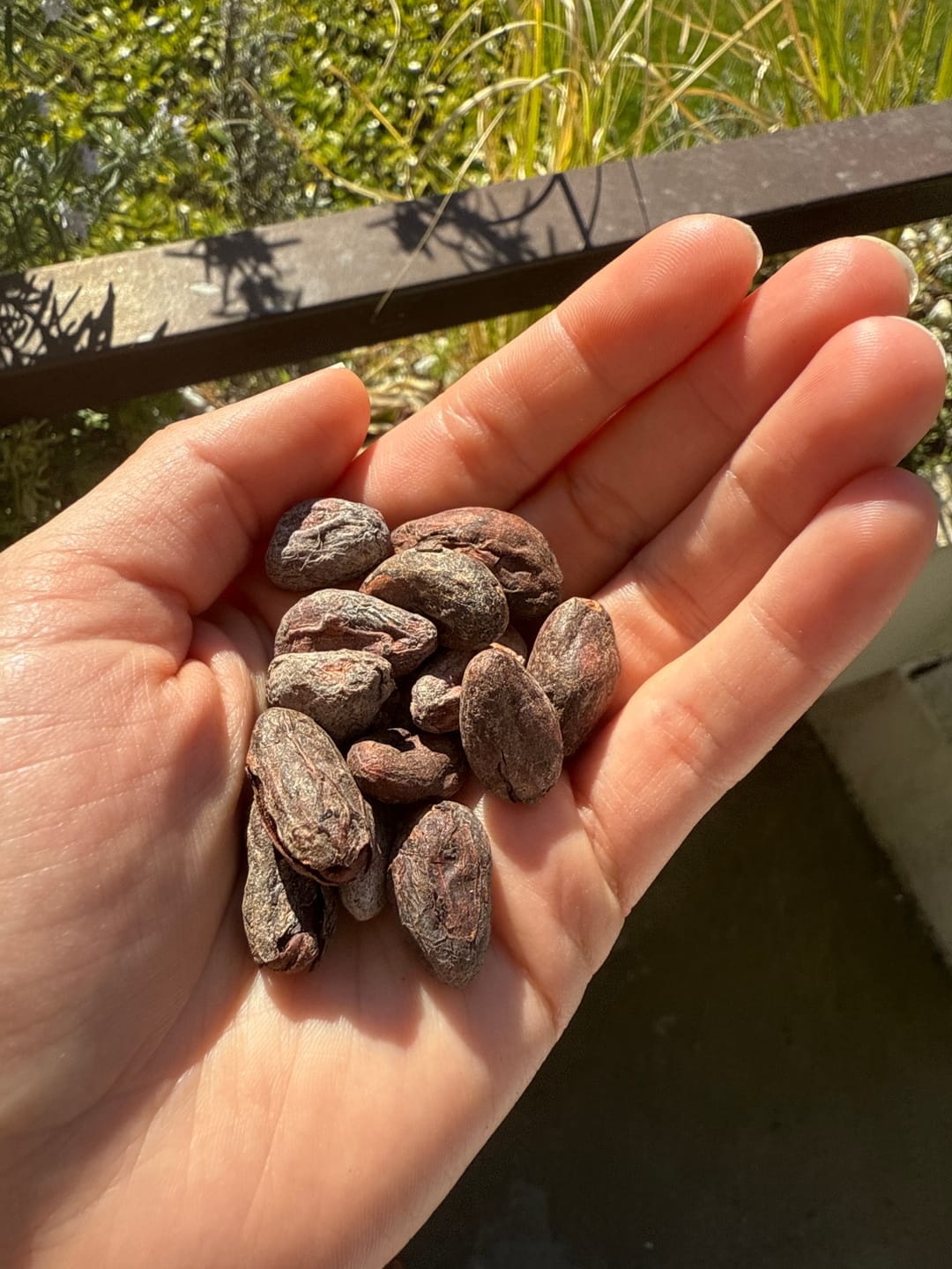 Customer photo review of Edelkakaobohnen Madagaskar