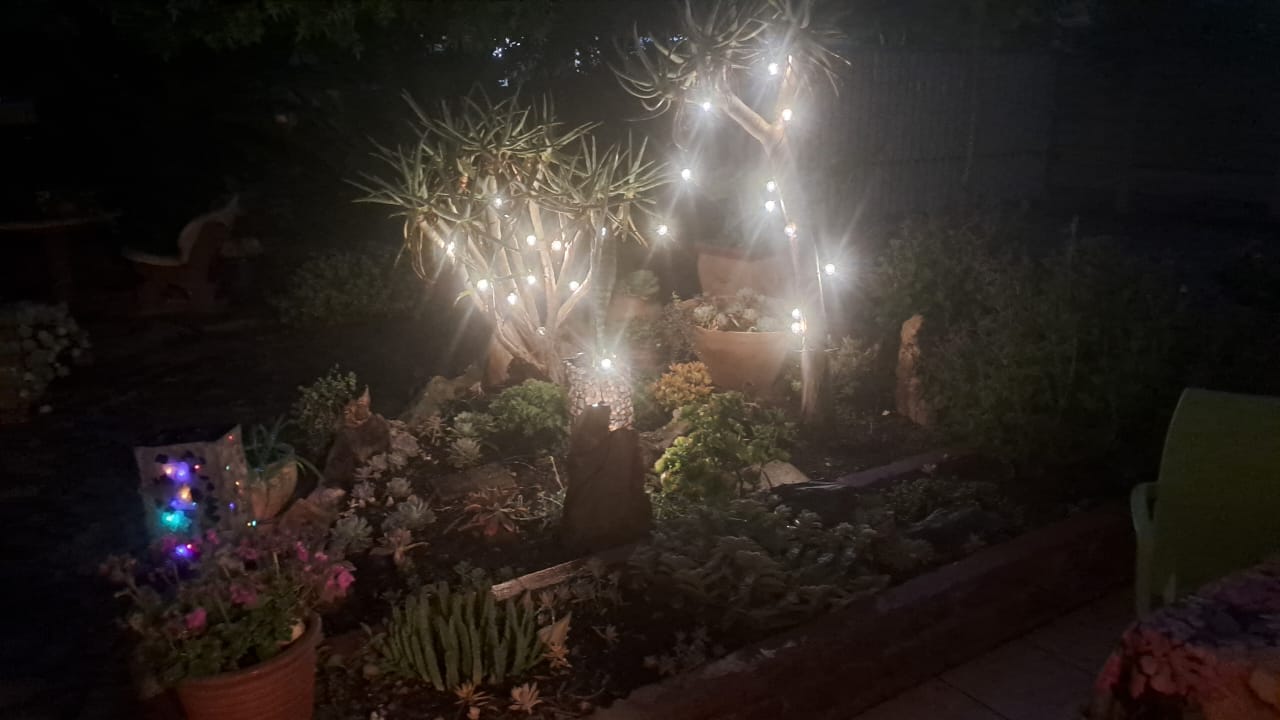 Customer photo review of Solar Mini Bulb String Lights - Black